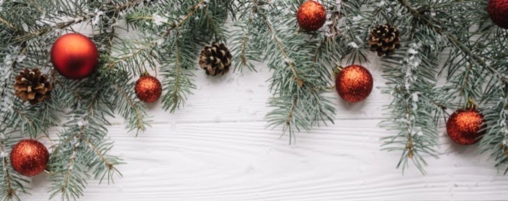 evergreen tree with sparkly red ornaments and pine cones