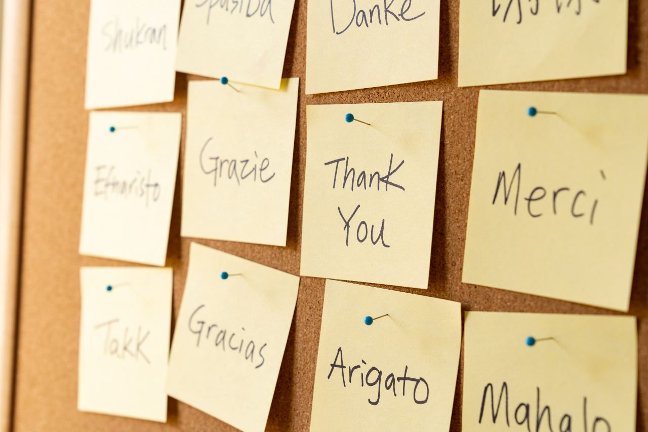 cork board with post-it notes of “thank you” in multiple languages